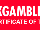 Evolution Gaming partner logo