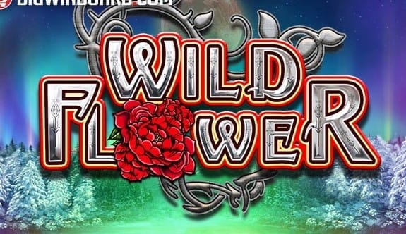 Wild Flower